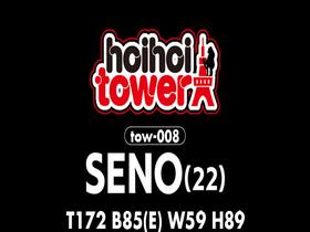 ホイホイtower②　サンプル画像15